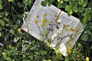 四つ葉のクローバー畑に置かれている本、2020年7月3日(金)に開催する東京読書交換会vol.107の広報、本のページには黄色の草花が重なる、読書会@オンライン(記事内挿入画像)